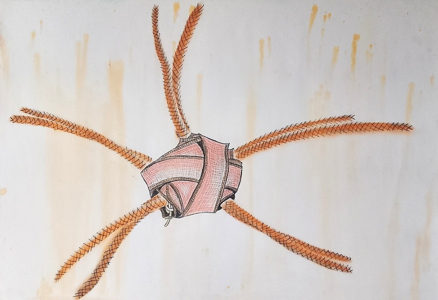 Veronika Schwarz, Starfish (2024), ink, charcoal and pastel on primed paper, 420 x 594mm